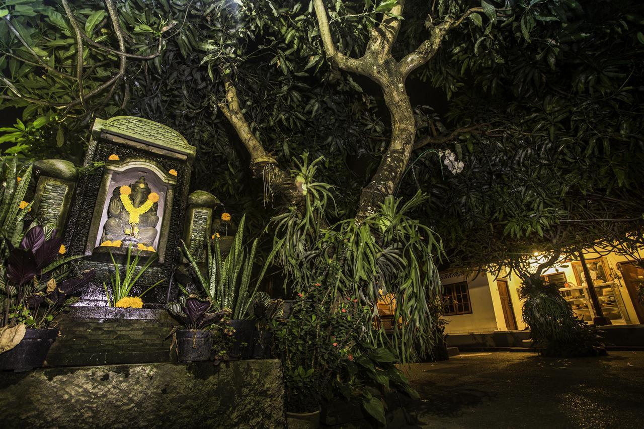 Dijumahrai Homestay Ubud Kültér fotó